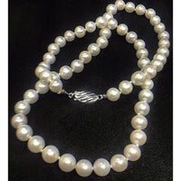 NEW! 16" Inch Genuine 7.0-8.0 White Strand Pearl Necklace Cultured Freshwater